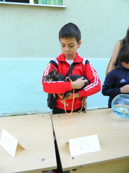 DSCN3877.JPG
