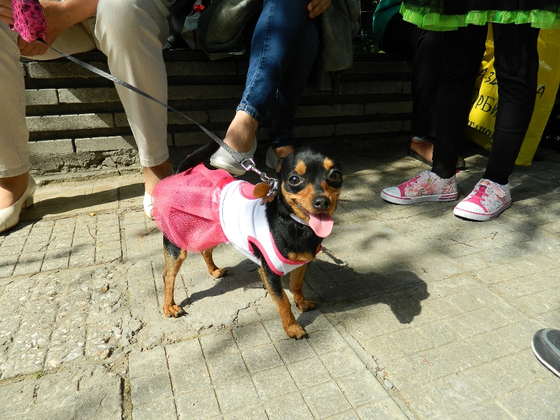 DSCN3976.JPG